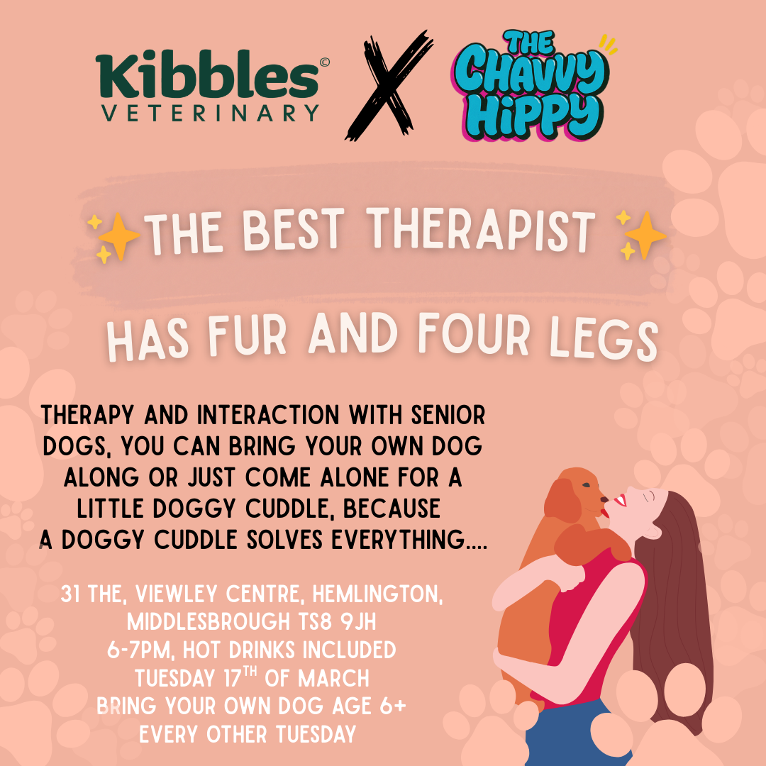 17th of March - Senior Dog Therapy