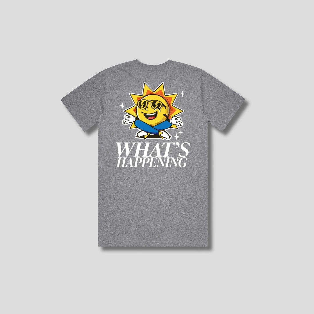 WHAT'S HAPPENING T-shirt Grey
